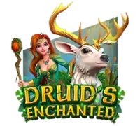 DRUID'S Enchanted — game at 12cuci